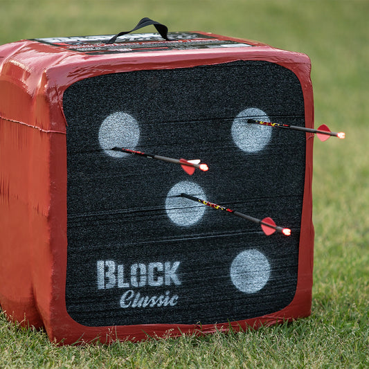 Targets with arrows hitting the black bullseyes on a block archery target.
