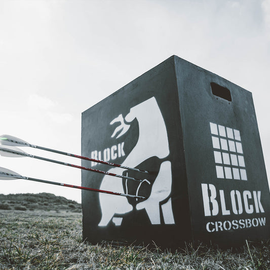 Target practice with a Block Crossbow target and three arrows hitting the target outdoors.