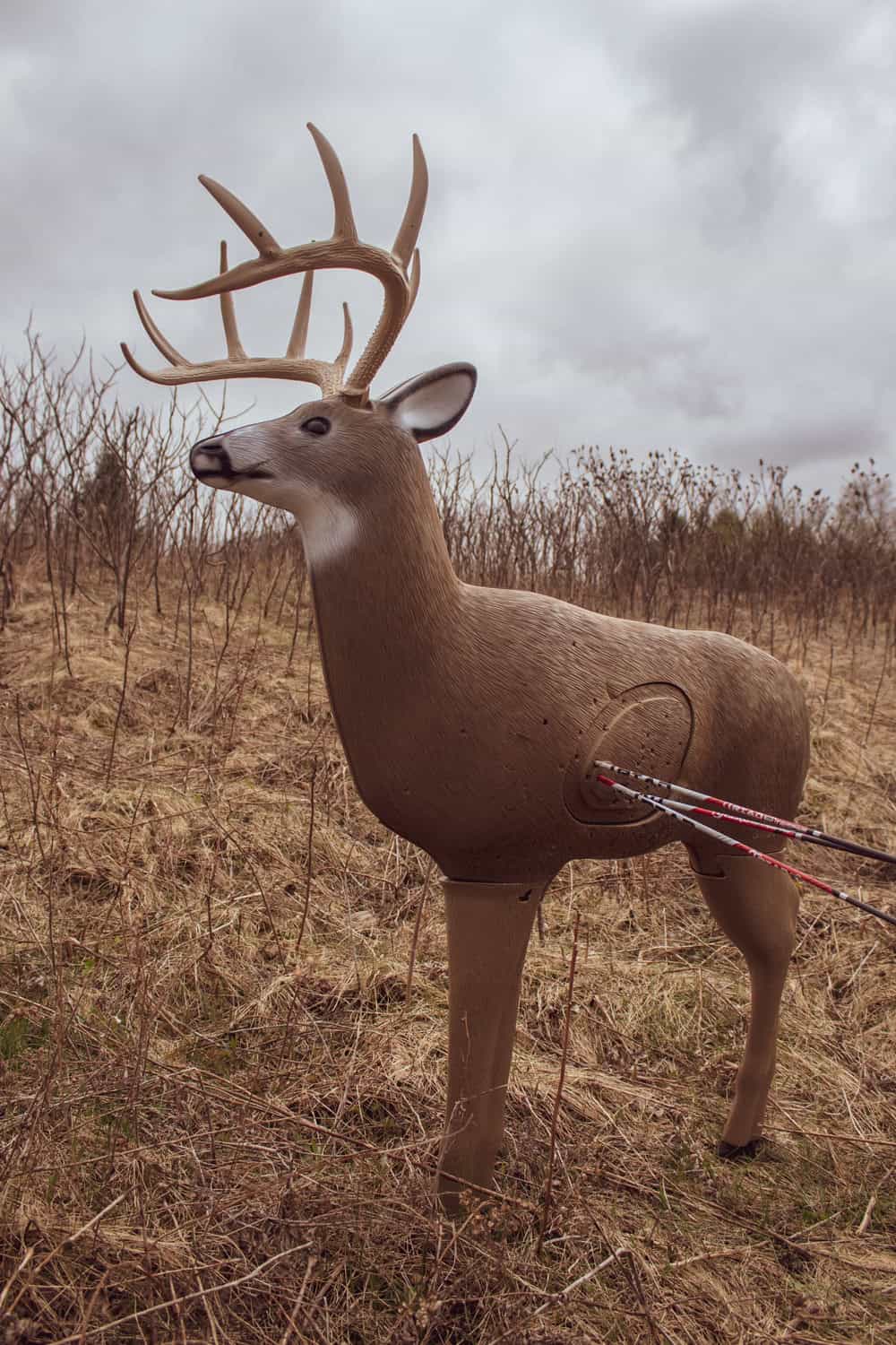 Realistic deer target with archery arrows in a field under cloudy sky.