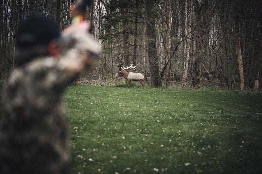 Deer target in wooded outdoor setting with bowhunter aiming from camouflage hideout.