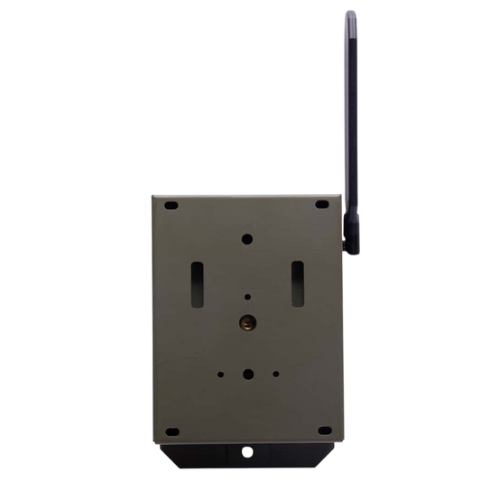 Wireless hunting trail camera with antenna for remote monitoring and wildlife observation.