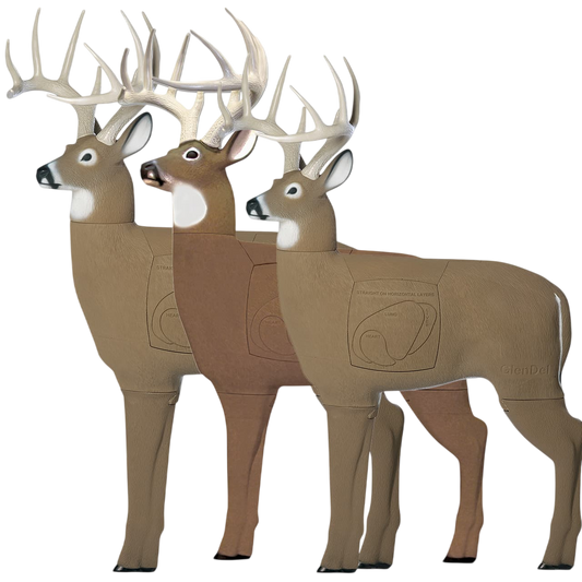 Realistic foam deer target dolls with detailed anatomy for archery practice.