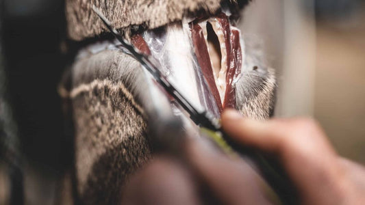 4 Advantages of Knives With Replaceable Blades