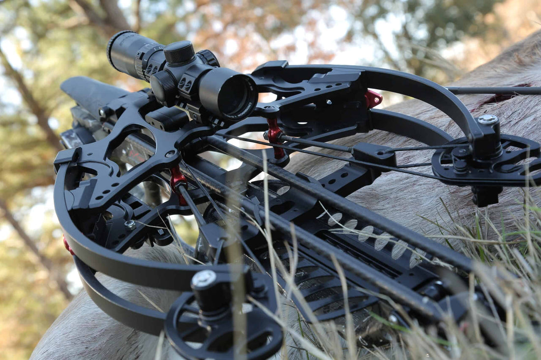 5 Must-Know Crossbow Maintenance Tips