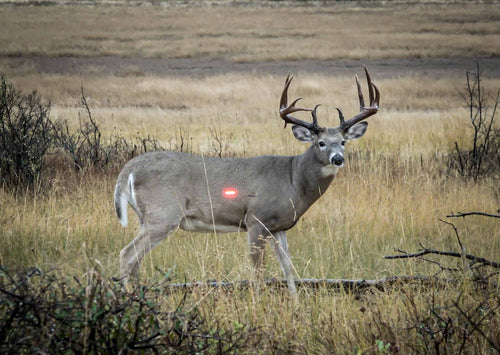 Set yourself up for success: With the right broadhead and arrow combination