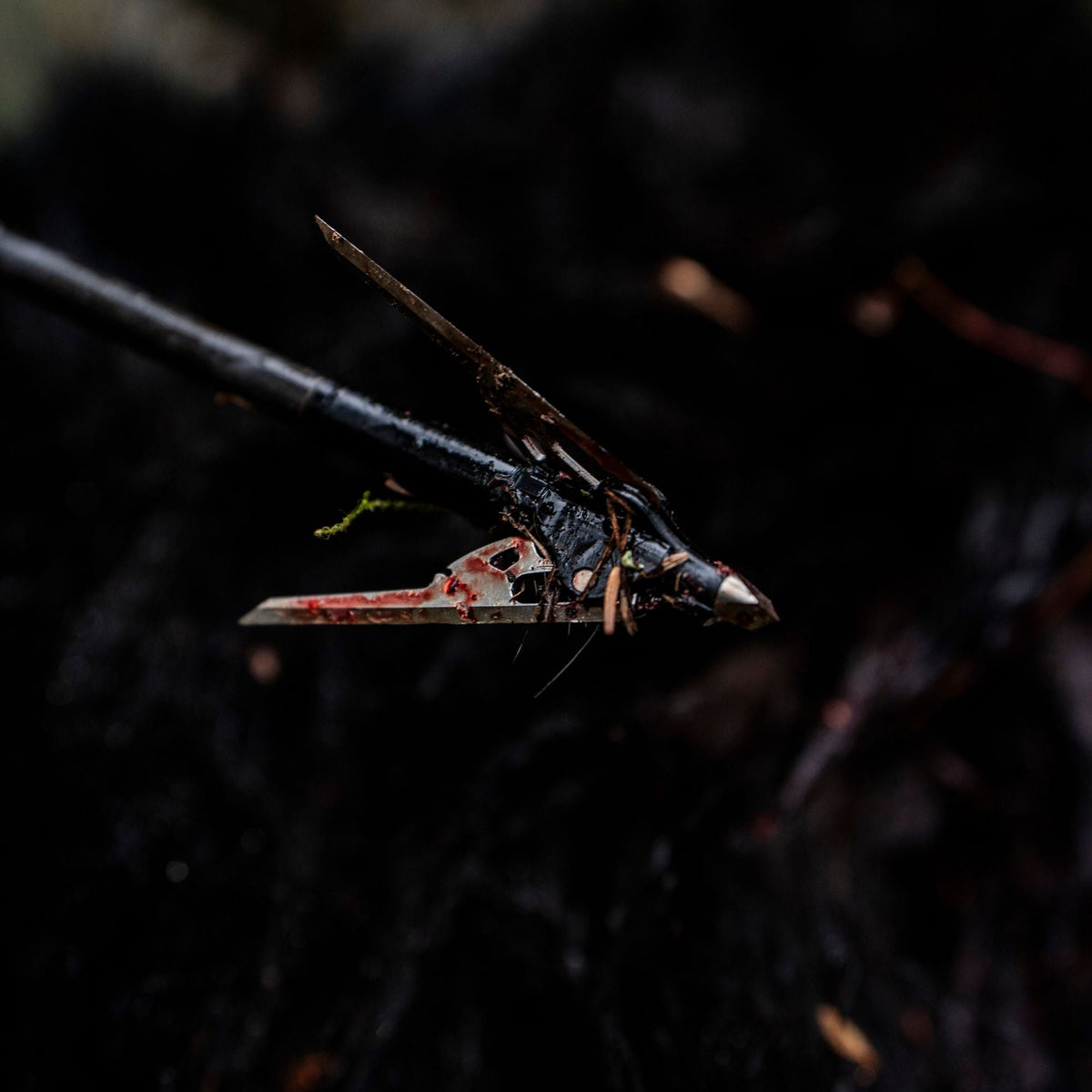 Rage Tyrant 3-Blade Broadhead