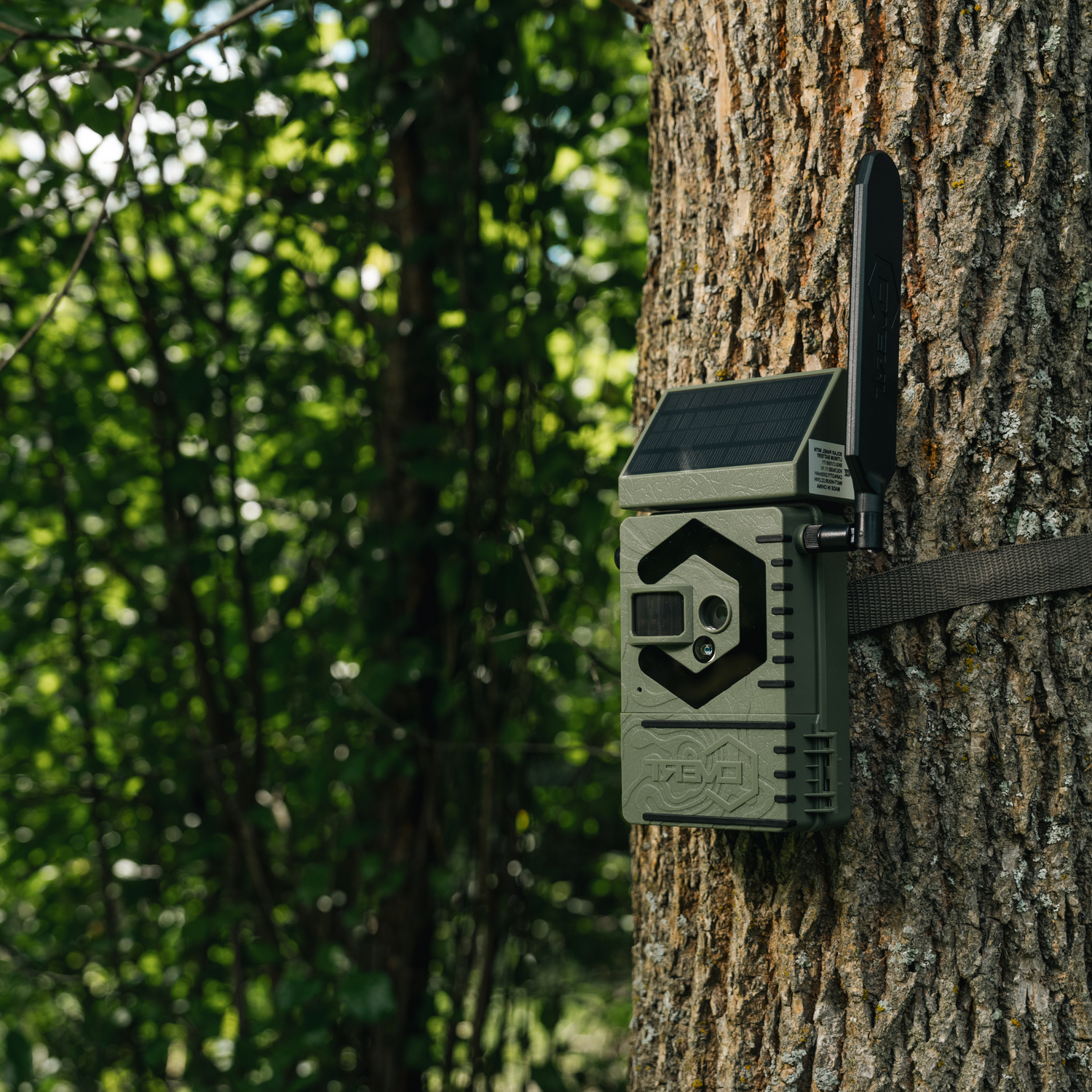 Trail Cameras & Accessories