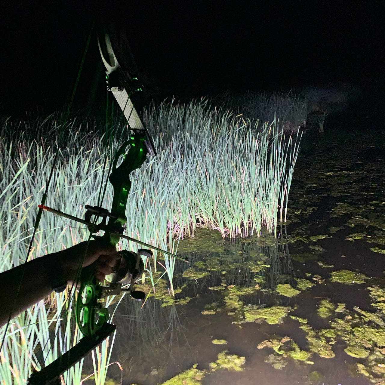 Nighttime archery hunting with a bow and arrow by a water's edge featuring aquatic plants and reeds.