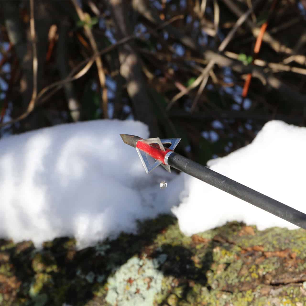 High-quality broadhead arrow shot into snow and bark during bowhunting adventure.