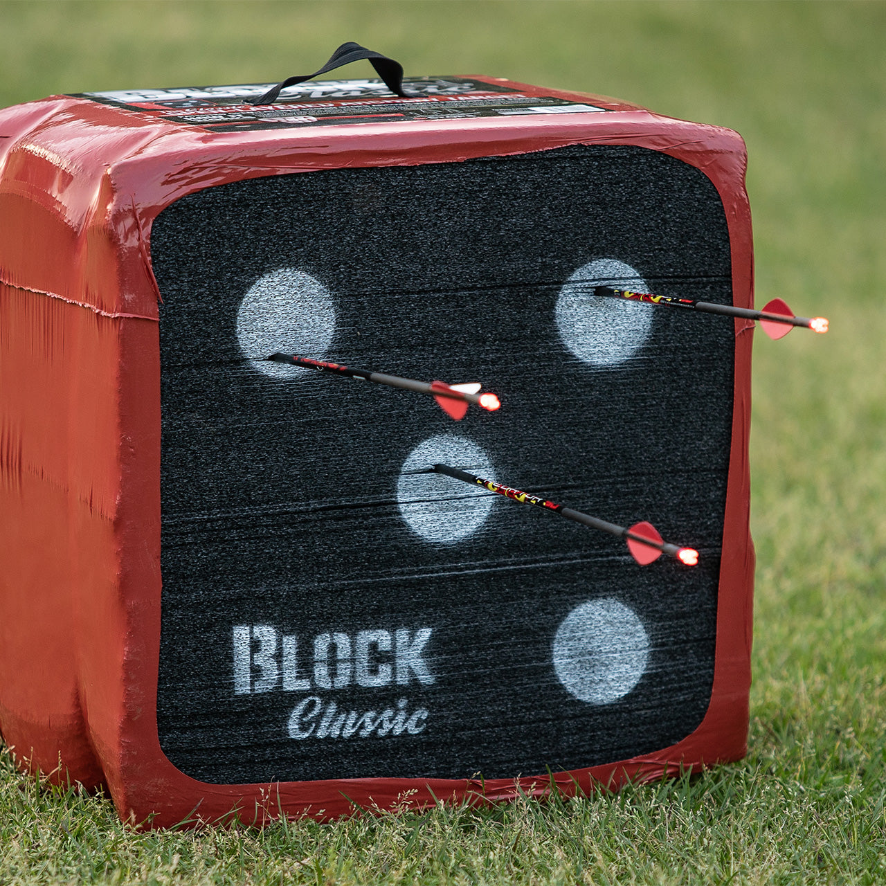 Targets with arrows hitting the black bullseyes on a block archery target.