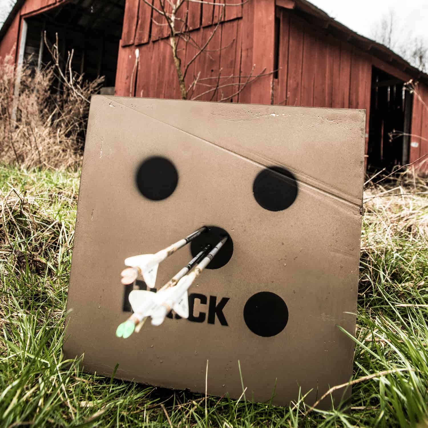 Arrows impacting a target on a grassy field near a red barn, used for outdoor archery practice and bowhunting.