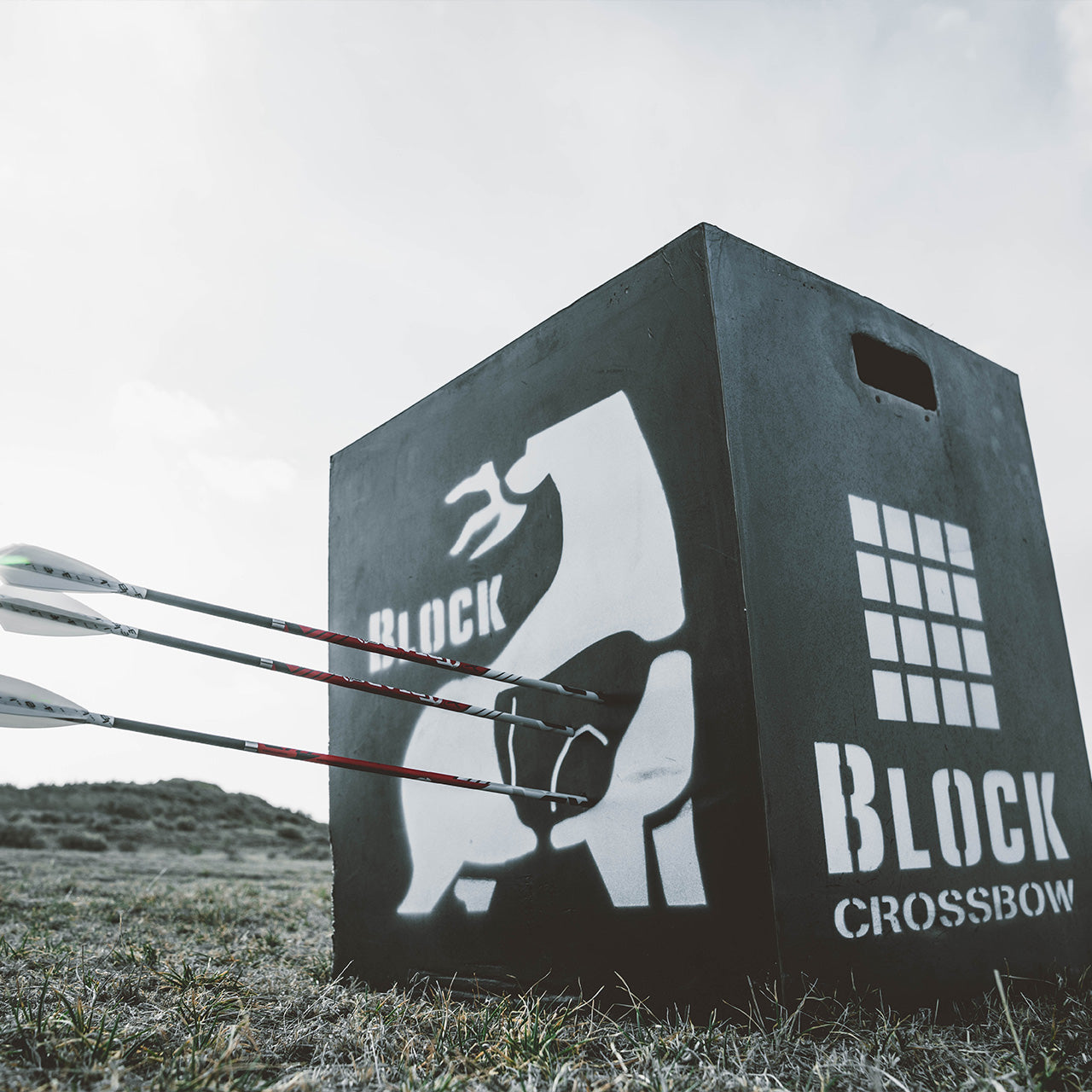 Target practice with a Block Crossbow target and three arrows hitting the target outdoors.