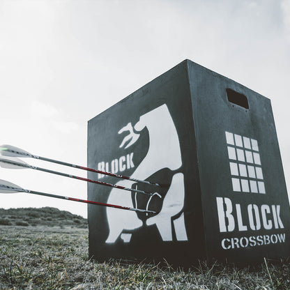 Target practice with a Block Crossbow target and three arrows hitting the target outdoors.