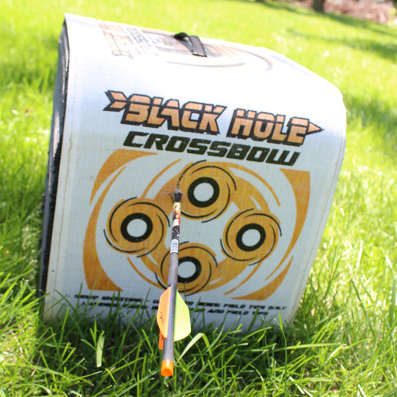 Target for archery with a bow and arrow on a green grassy field.