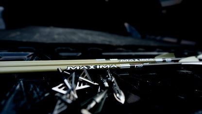 MAXIMA archery arrows on a bowstring ready for hunting or target shooting, outdoors equipment for bowhunters.