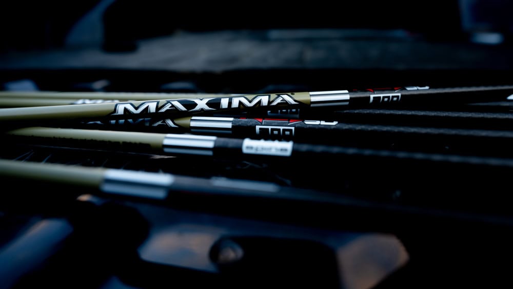 Maxima arrows on bow riser for precision archery and bowhunting.