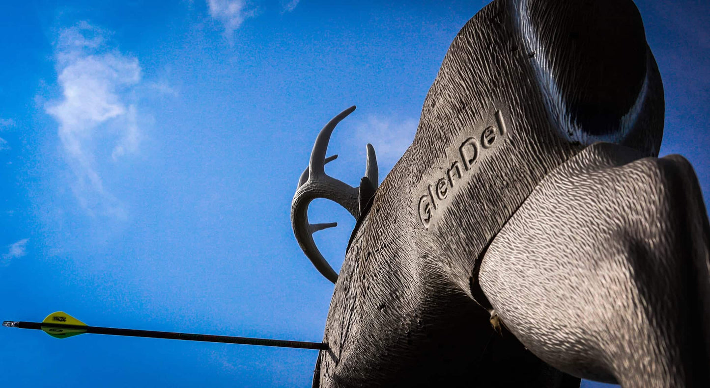 Archer's target with an arrow hitting the bullseye against a blue sky background.