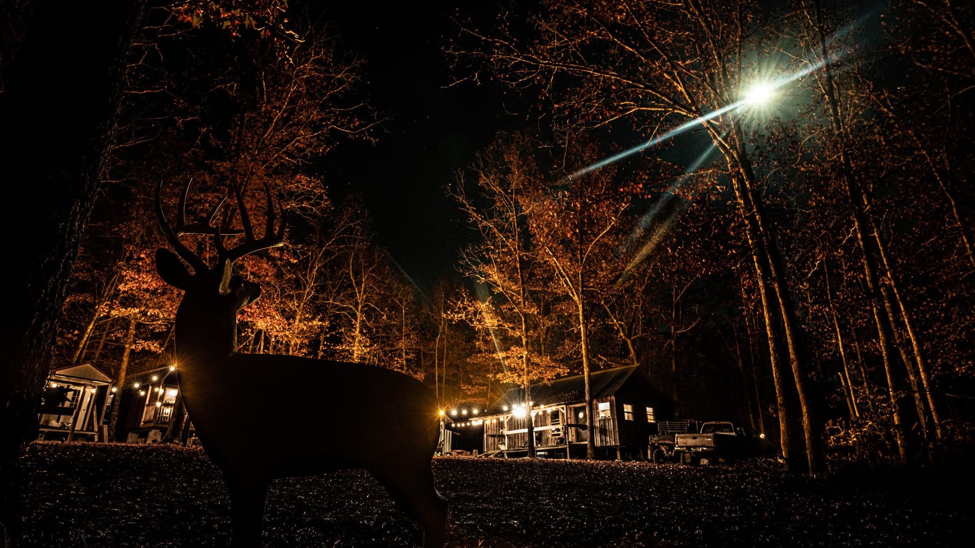 Silhouette of a deer at night in a wooded outdoor setting with cabin lights and a bright moon.