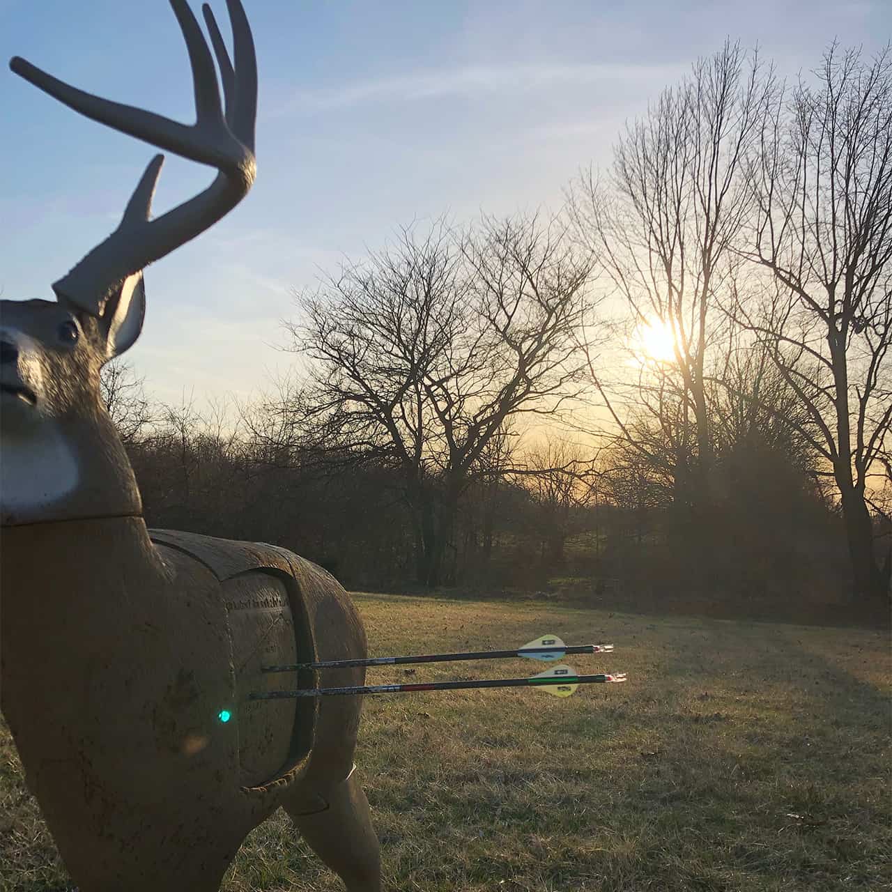 1. Life-sized buck decoy with bows and sunset background for bowhunting practice and game calling.