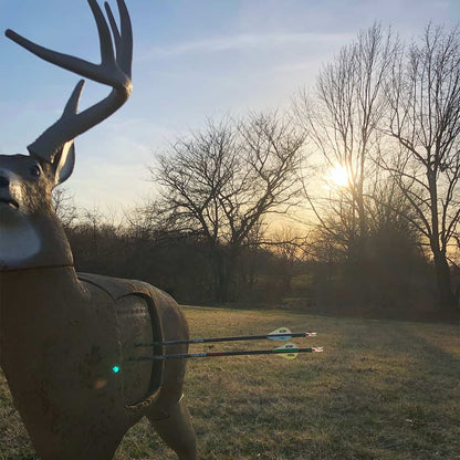 1. Life-sized buck decoy with bows and sunset background for bowhunting practice and game calling.