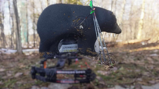 Black bear-shaped archery target with multiple bullet holes and a bow in front on forest floor.