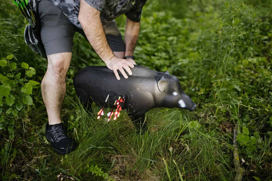 Archer setting arrows on a black pig-shaped archery target outdoors in green foliage.