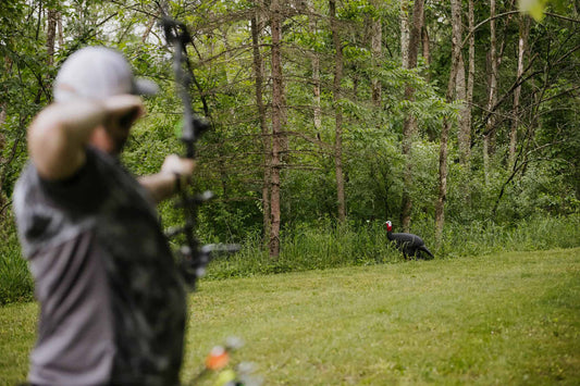 1. Person aiming a bow at a turkey decoy in wooded outdoor setting.