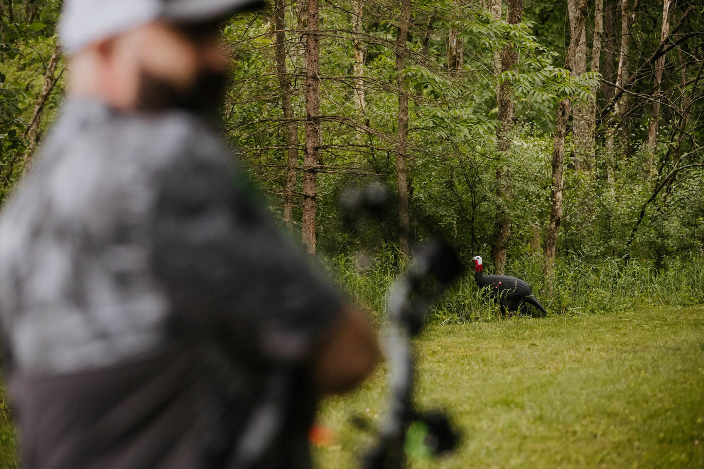 Aiming at a turkey decoy in a wooded outdoor setting for bowhunting.