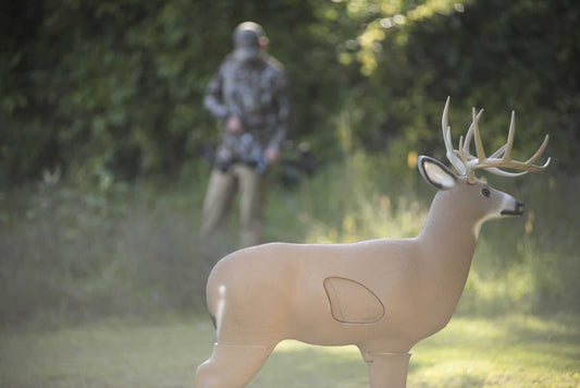 Deer target with antlers in outdoor setting, used for bowhunting practice and aiming refinement.