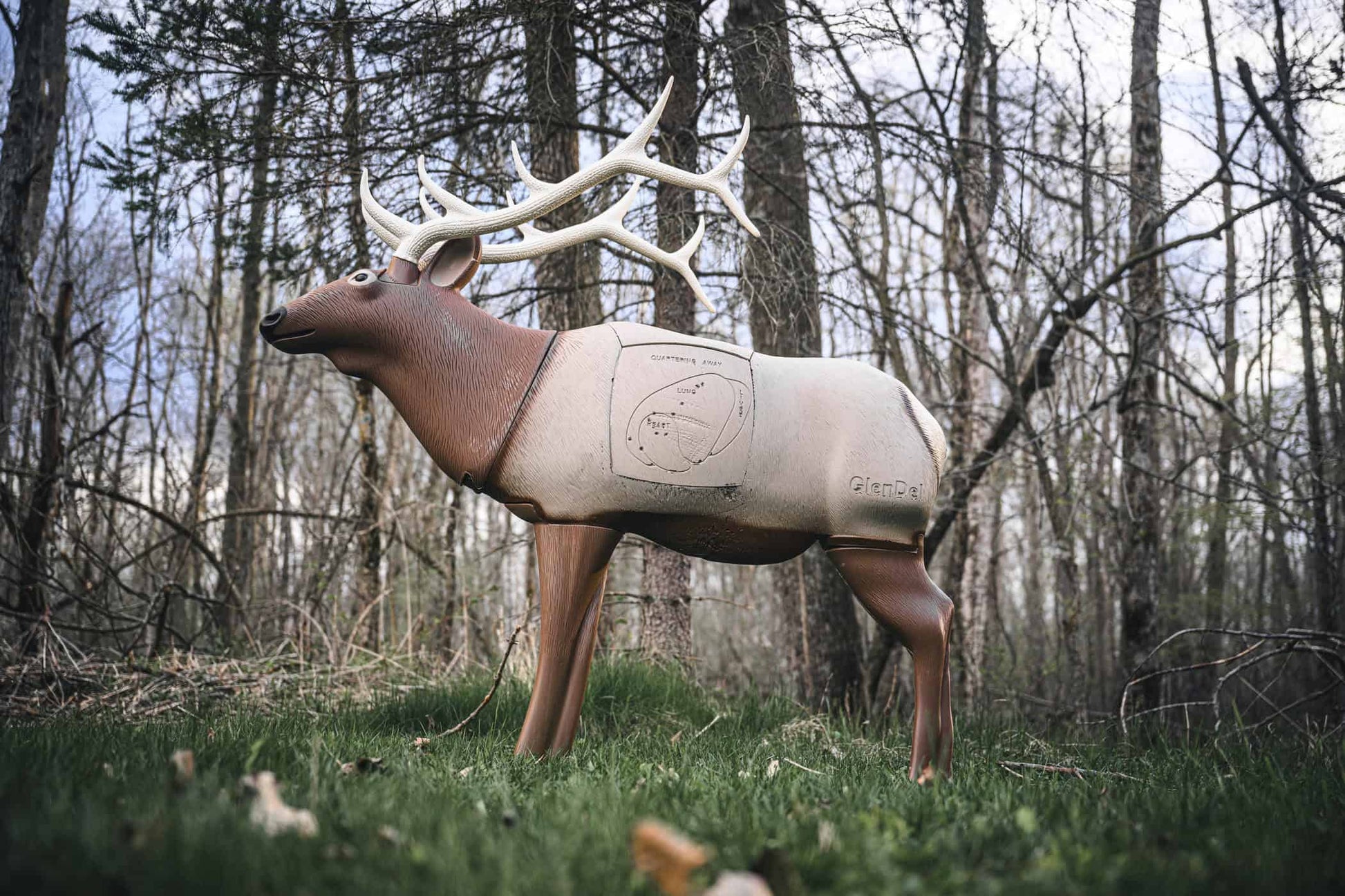 Realistic archery target deer in a forest setting for bowhunter practice and outdoor shooting training.