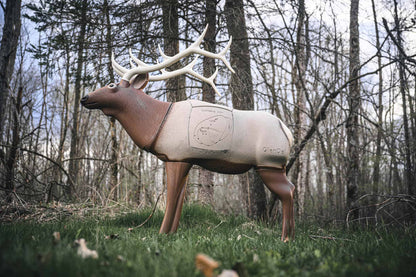 Realistic archery target deer in a forest setting for bowhunter practice and outdoor shooting training.