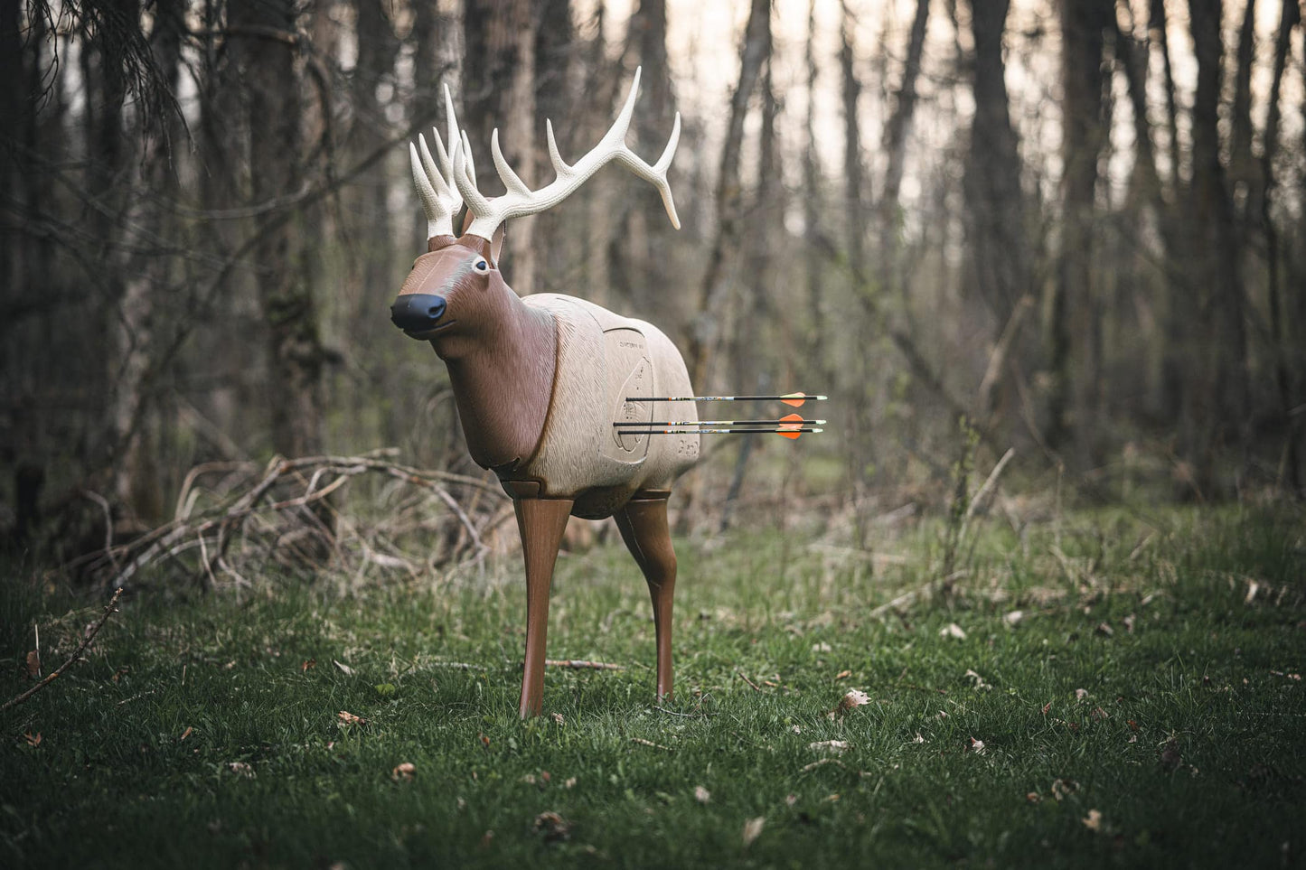 Archery deer target with arrows outdoors in the forest for bowhunting practice.