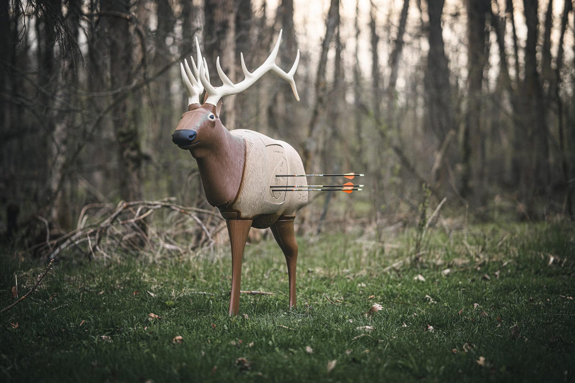 Archery deer target with arrows outdoors in the forest for bowhunting practice.