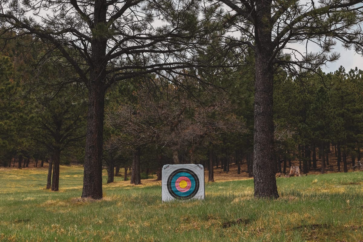 Bright archery target in woods surrounded by trees for bowhunting practice.