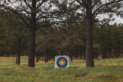 Bright archery target in woods surrounded by trees for bowhunting practice.