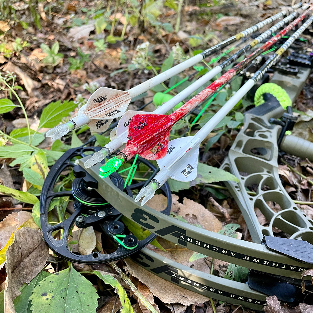 Arrows with mechanical broadheads on a bow's arrow rest in a forest setting.