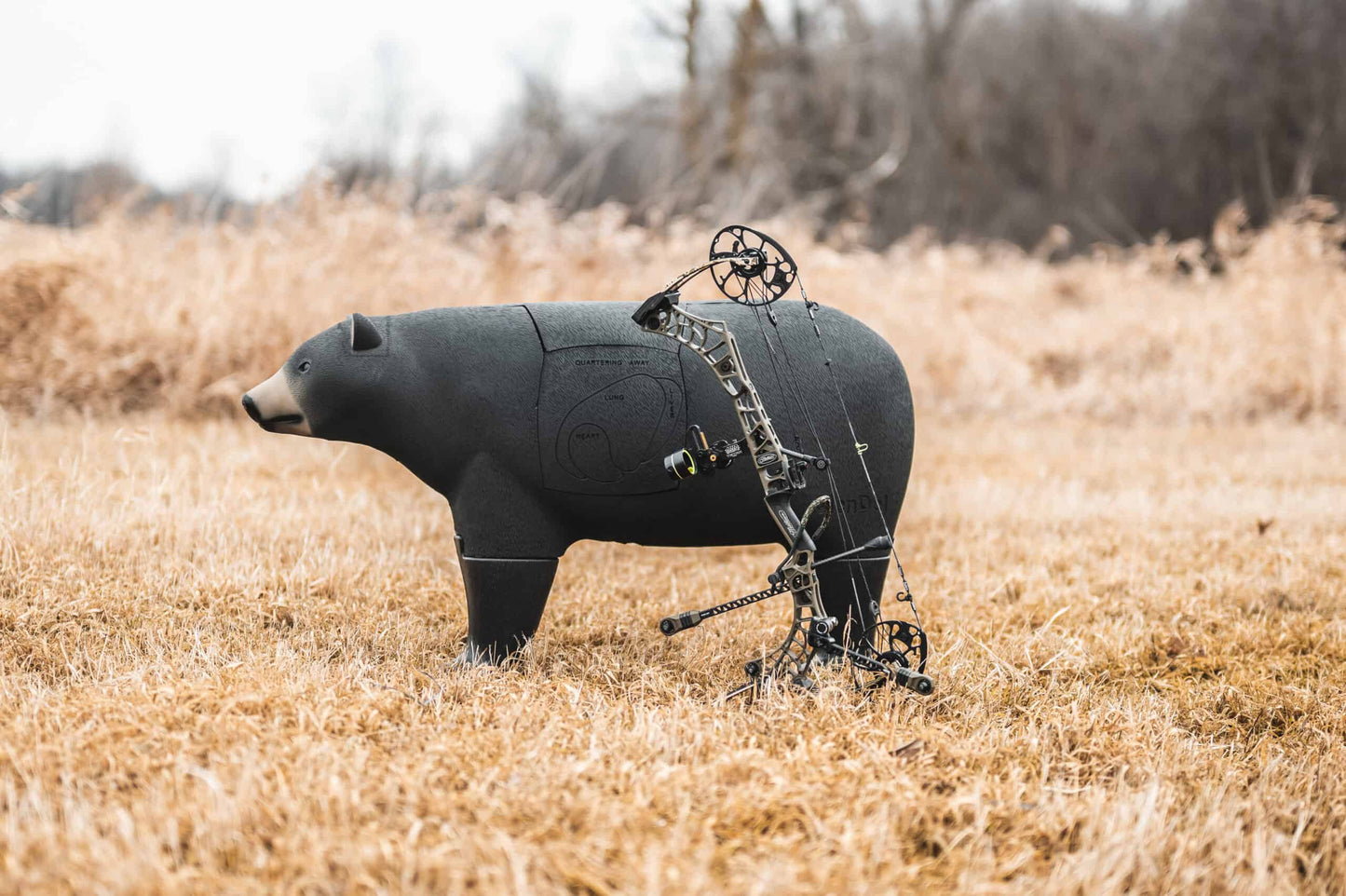 1. Realistic bear-shaped archery target with bow and arrow outdoors.