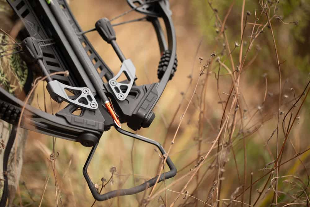 High-tech compound bow with arrow rest and stabilizer in outdoor field setting.