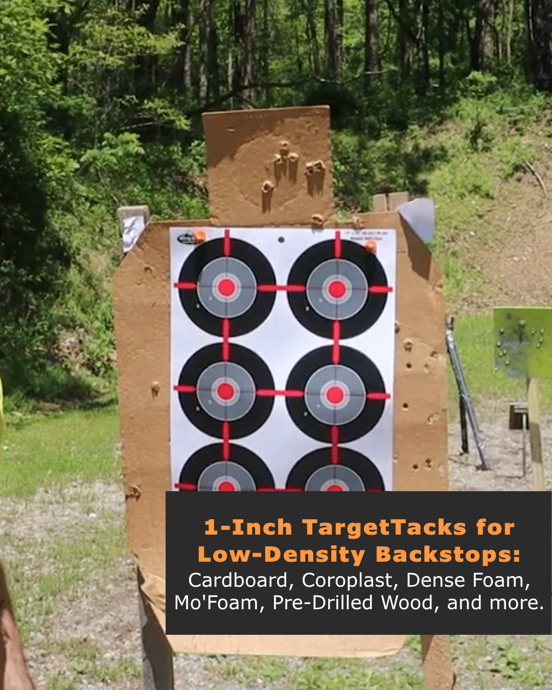 100 1-Inch Loose Bulk of TargetTacks®