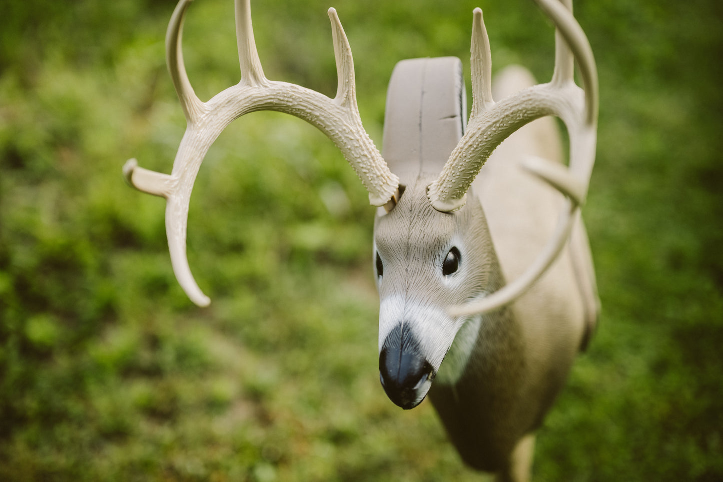 Shooter Buck 3D Archery Target