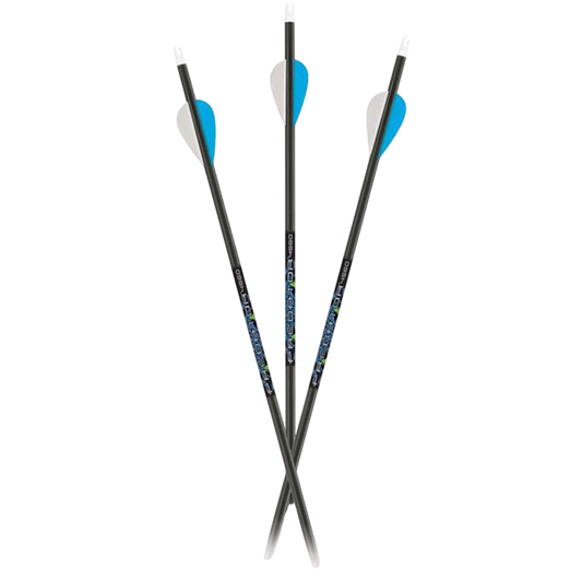 High-performance carbon arrows with blue fletching for bowhunting and archery enthusiasts.