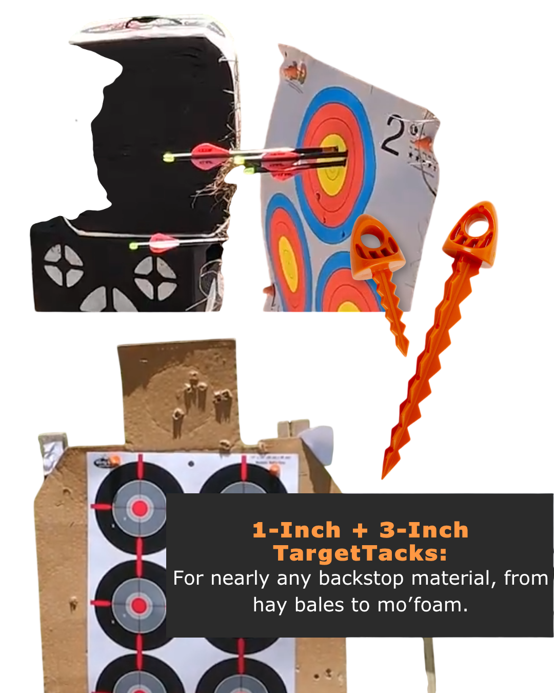 1-Inch and 3-Inch Variety 12-Pack of TargetTacks®