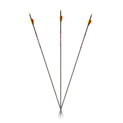 Premium carbon hunting arrows with bright fletching for accuracy and visibility.
