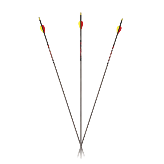 Premium carbon hunting arrows with bright fletching for accuracy and visibility.