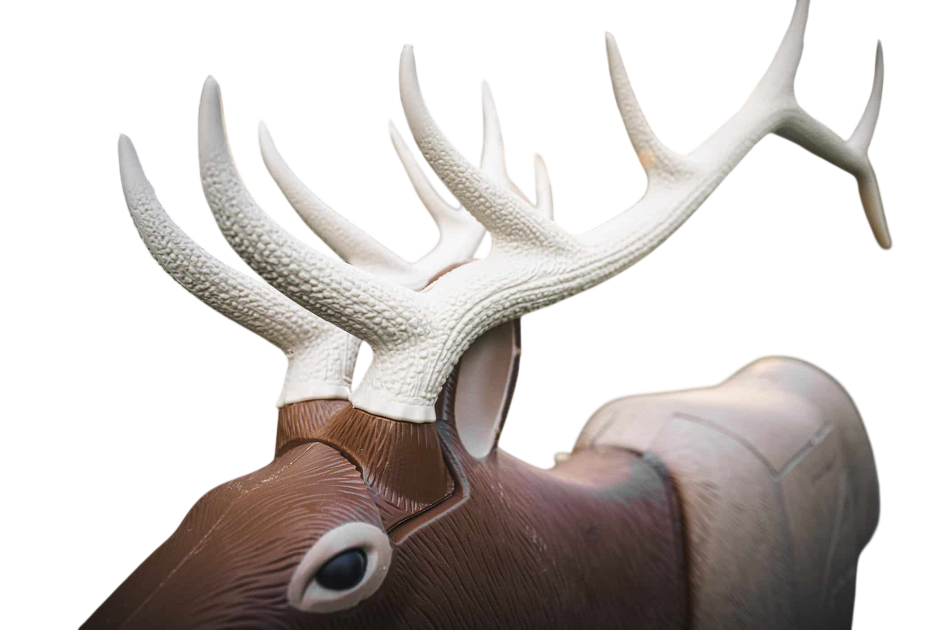 Antler-shaped target for archery practice in a woodland setting at sunset.