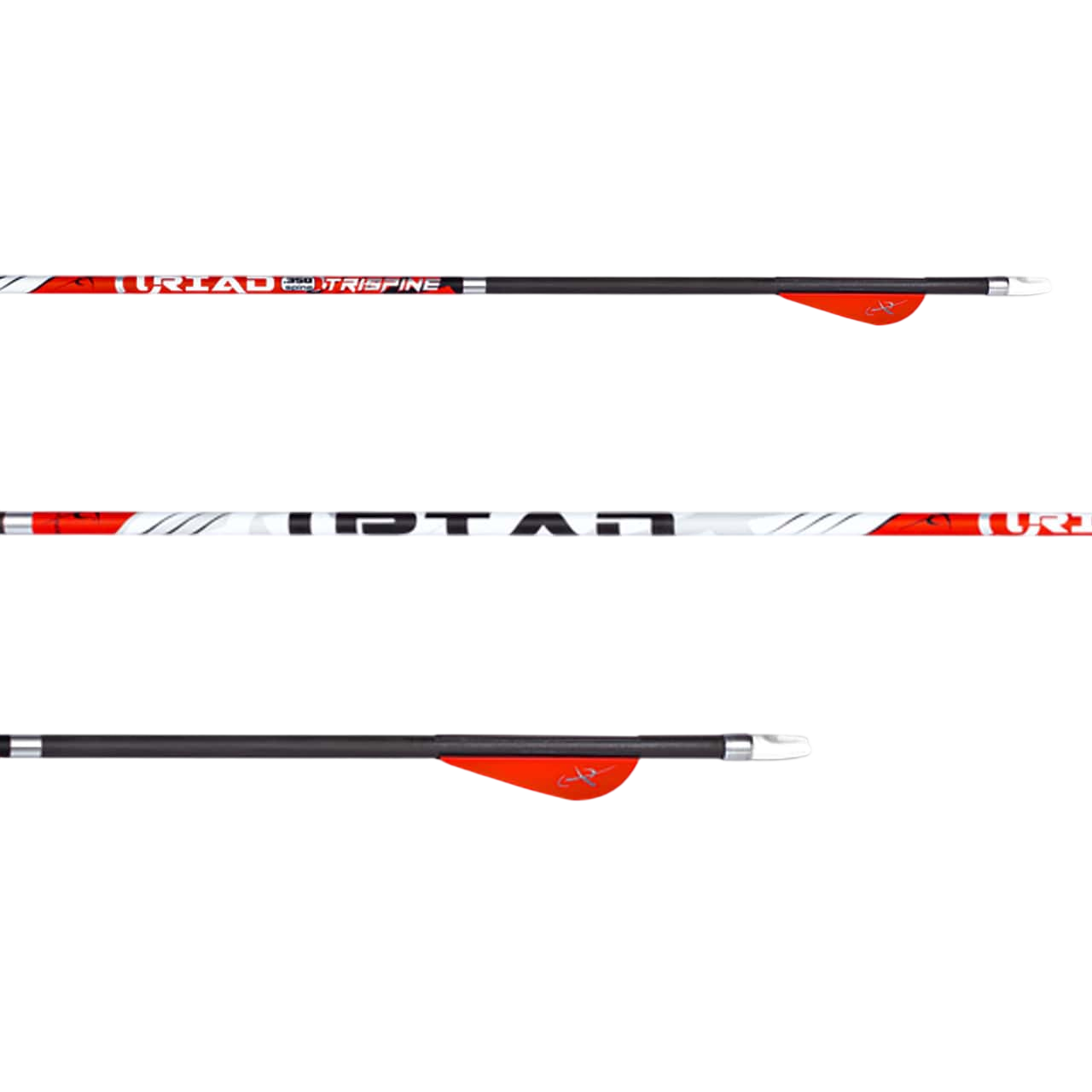 CX Maxima Triad Zoom