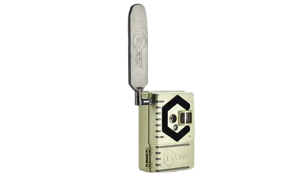 Compact trail camera for outdoor hunting and wildlife observation.