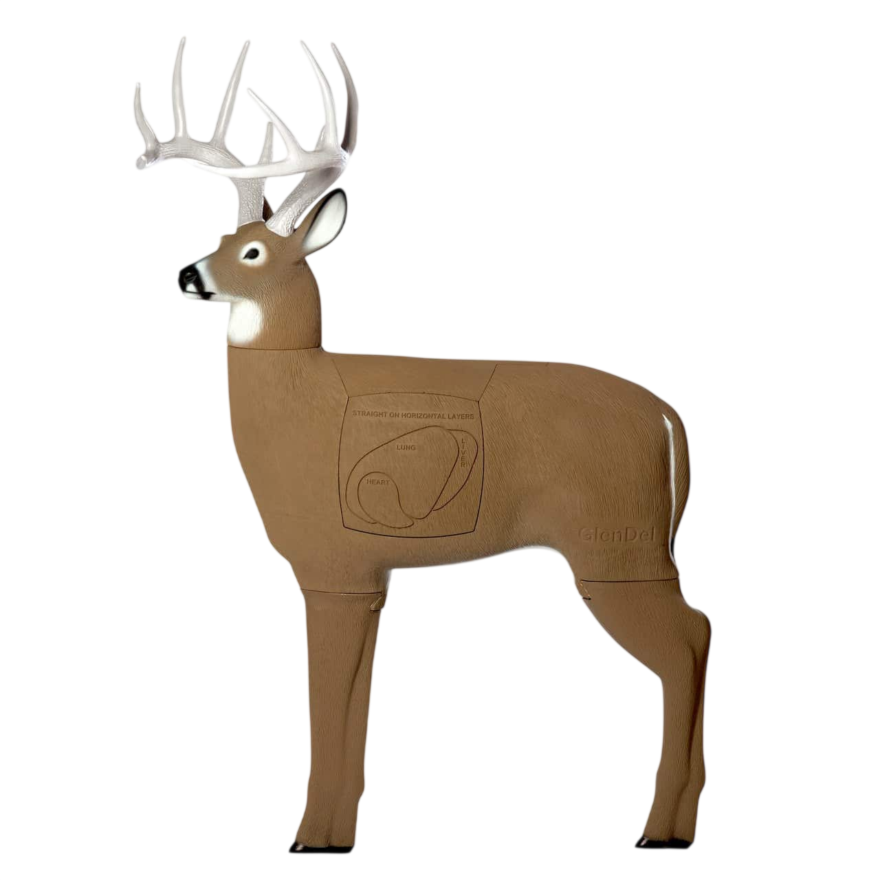 Crossbow Buck