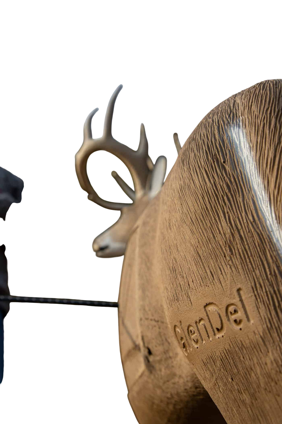 1. Close-up of Woodstream Archery target with deer antlers in natural outdoor setting.