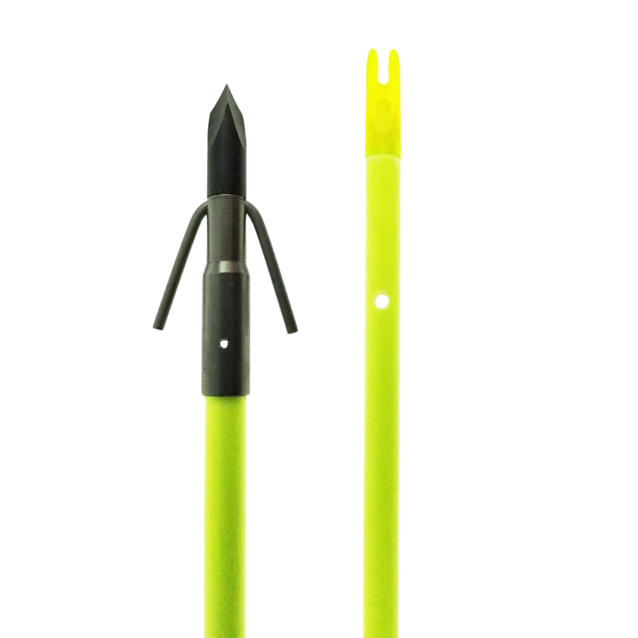 Chartreuse Gar Arrow